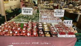 毎週、月曜日＆火曜日はお得な２日間！
