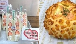 【新商品】いちごのフルーツサンド＆たらこチーズブール発売！